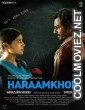 Haraamkhor (2017) Bollywood Movie
