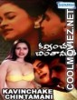 Kavinchake Chintamani (2008) Telugu B-Grade Movie