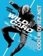 Wild Card (2015) Hindi Dubbed Movie